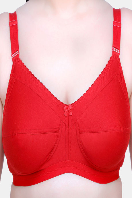 Maroon Clothing Single Layered Non Wired Full Coverage Minimiser Bra (Pack of 2) - Multicolor — image 5